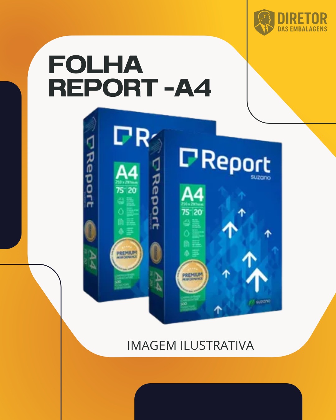 WhatsApp Image 2026-01-31 at 13.42.45 (4)